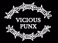 viciouspunx.com