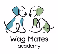 wagmatesacademy.com