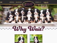 walnutvalleypuppies.com