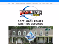 washgeniepro.com