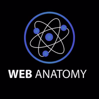 webanatomyseo.com