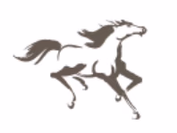 whitehorseenergy.co.uk