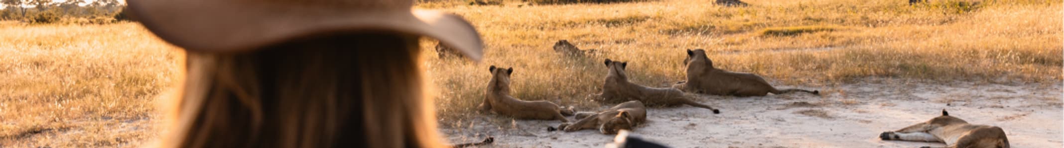 wildernessdestinations.com