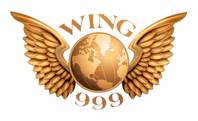 wing999.com