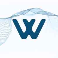 wisecp.com