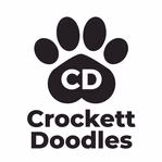 www.crockettdoodles.com