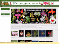 www.ecuagenera.com