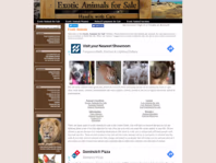 www.exoticanimalsforsale.net