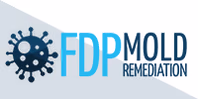 www.fdpmoldremediation.com