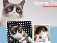 www.grumpycats.com