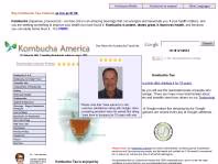 www.kombuchaamerica.com
