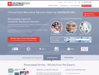 www.salvagedata.com