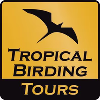 www.tropicalbirding.com