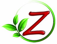 znaturalfoods.com